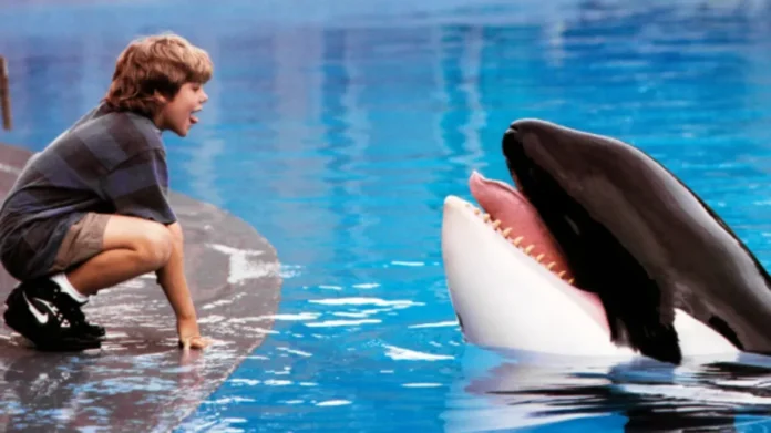 draft-3727-original_article Η Warner Bros. ετοιμάζει reboot της ταινίας Free Willy