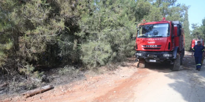 Υπό έλεγχο η φωτιά που ξέσπασε κοντά σε σπίτια στα Ψακούδια Χαλκιδικής
