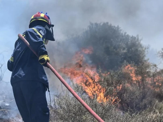 Μεσσηνία: Πυροσβέστης και πρώην κοινοτάρχης ανάμεσα στους συλληφθέντες για εμπρησμούς