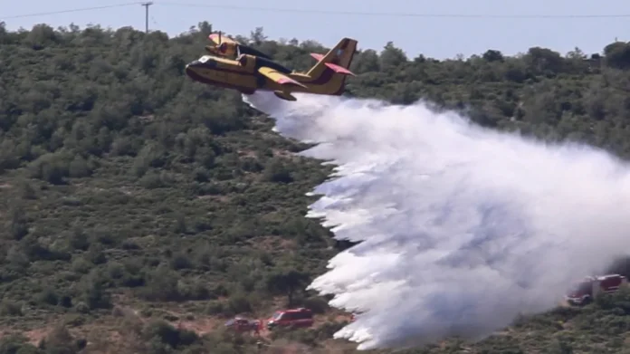 Πυρκαγιά στον Τύρναβο: Μεγάλη επιχείρηση με επίγεια και εναέρια μέσα