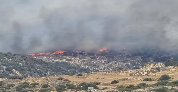 Πάρος: Συλλήψεις δημάρχου και αντιδημάρχου για τις πυρκαγιές — 8 συνολικά οι συλληφθέντες