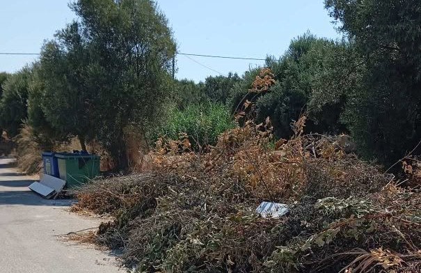 Συχαινά: Φόβοι για πυρκαγιά από ξερά κλαδιά — η έκκληση των κατοίκων