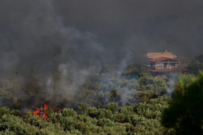Πυρκαγιά στην Αττικοβοιωτία: Γιατί οι ειδικοί κάνουν λόγο για «megafire» — τι συμβαίνει στο μέτωπο