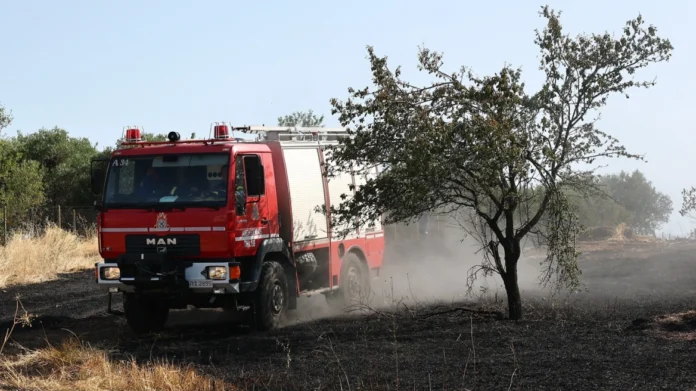 Φωτιά στην Κοτύλη Κιλκίς: Επιχειρούν 40 πυροσβέστες με 15 οχήματα